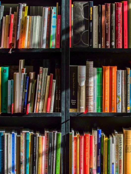 L’OIDEL publie la 6ème édition de la « Bibliographie sélective sur le droit à l’éducation et les politiques éducatives »