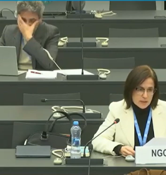 Atelier du HCDH sur les inégalités dans le relèvement postpandémique