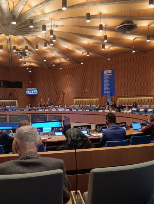 Participation d’OIDEL au Dialogue Formel de l’UNESCO sur le Droit à l’Éducation