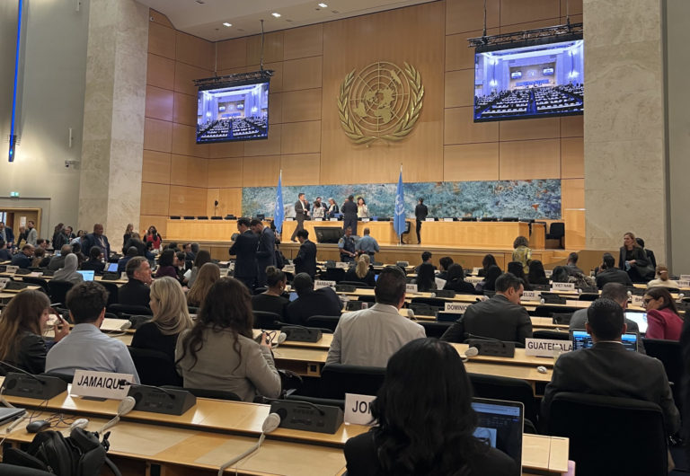 60th Session of the Human Rights Council
