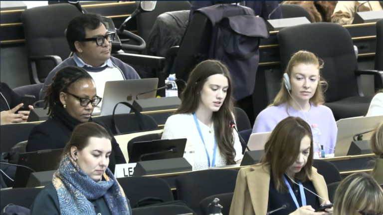 OIDEL participates in the Forum on Minority Issues 2025